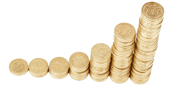 Pro Academy UG – Lernumgebung für digitales Marketing